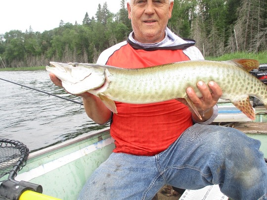 Muskellunge