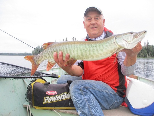 Muskellunge
