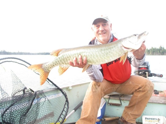 Muskellunge