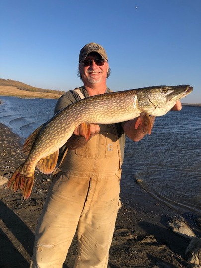 Northern Pike