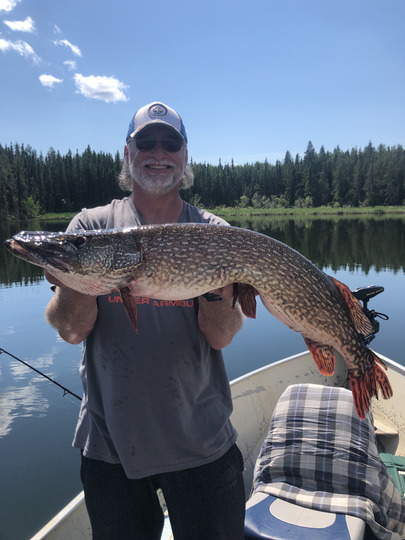Northern Pike