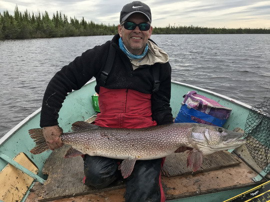 Northern Pike