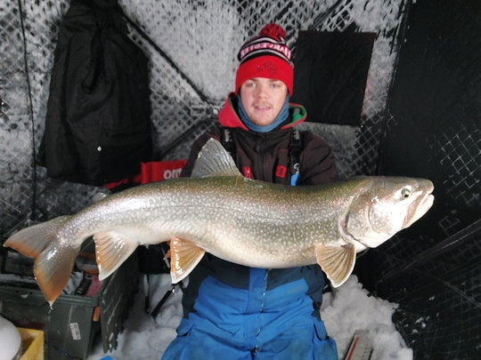 Lake Trout