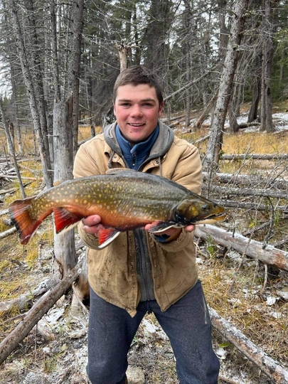 Brook Trout