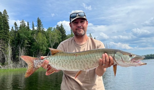 Muskellunge
