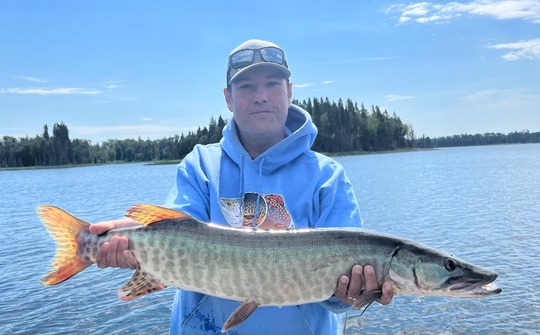 Muskellunge