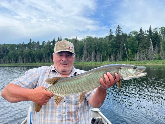 Muskellunge