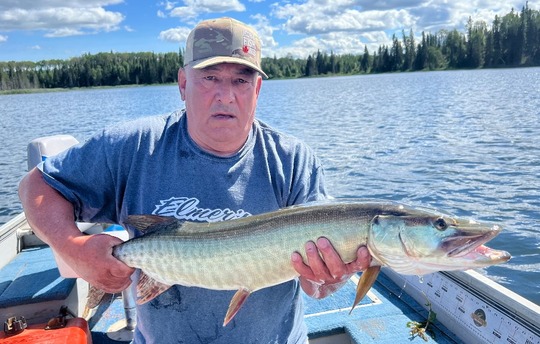 Muskellunge
