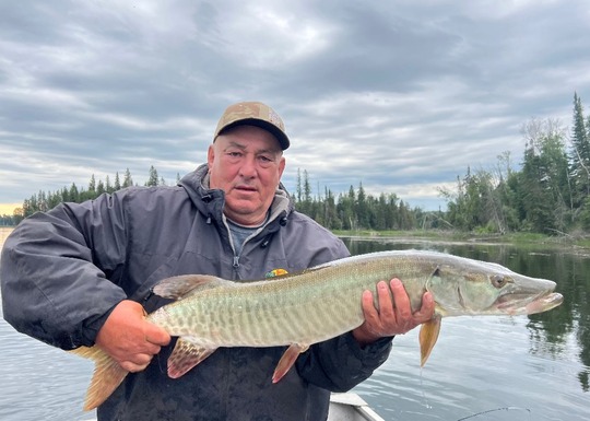 Muskellunge