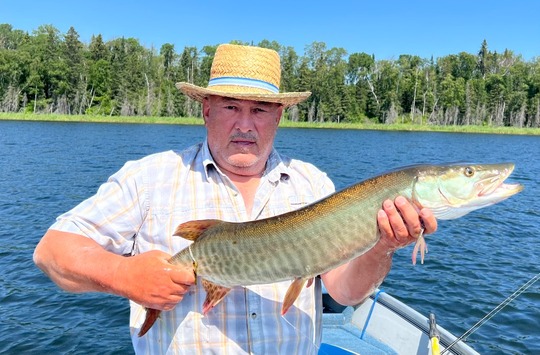 Muskellunge