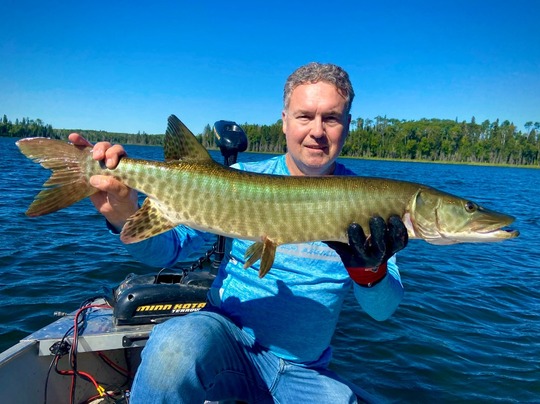 Muskellunge