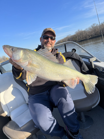 Walleye