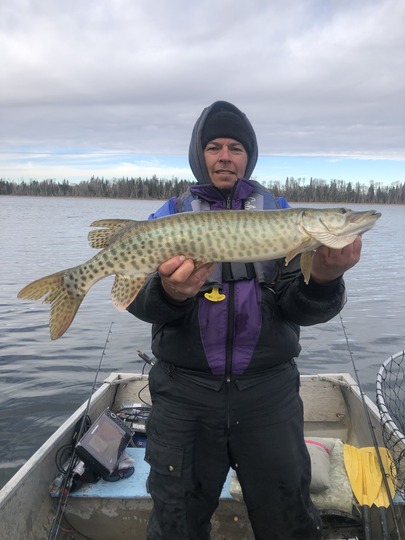 Muskellunge