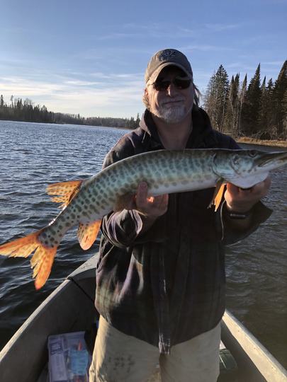 Muskellunge
