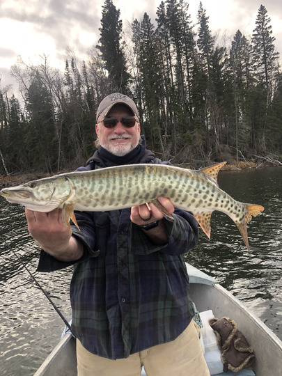 Muskellunge