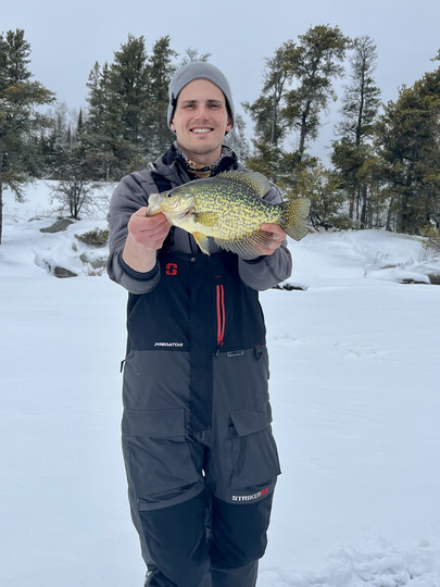 Black Crappie