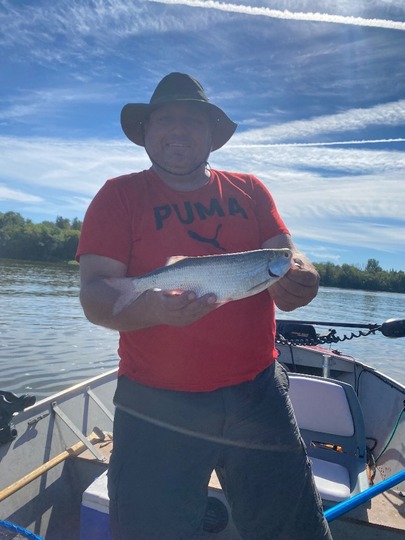 Goldeye