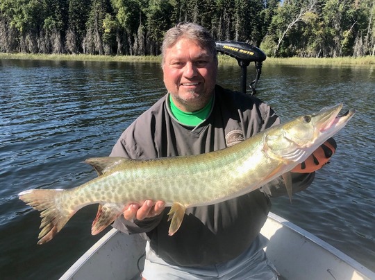 Muskellunge