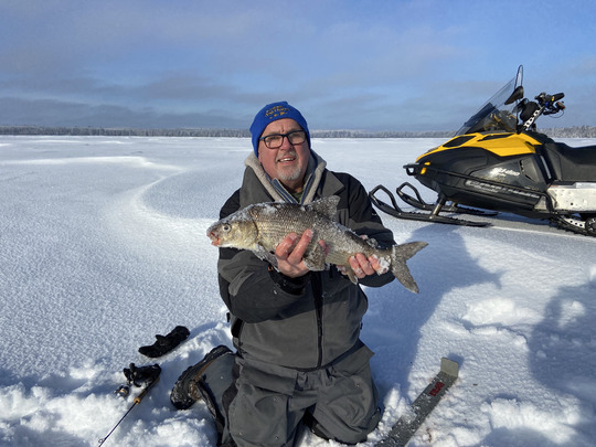 Lake Whitefish