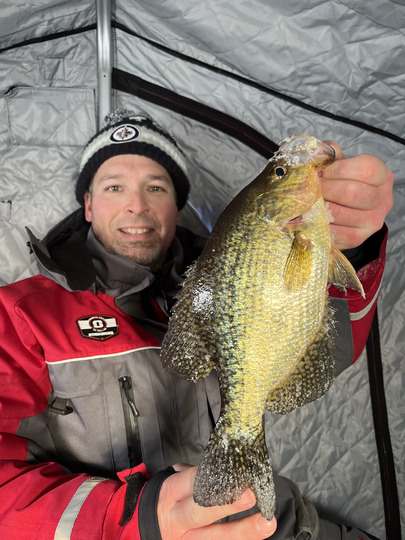 Black Crappie