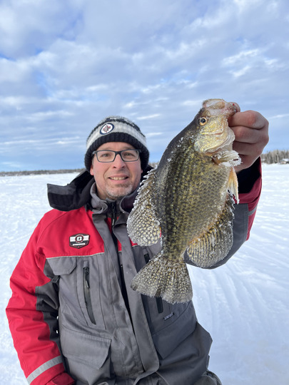 Black Crappie