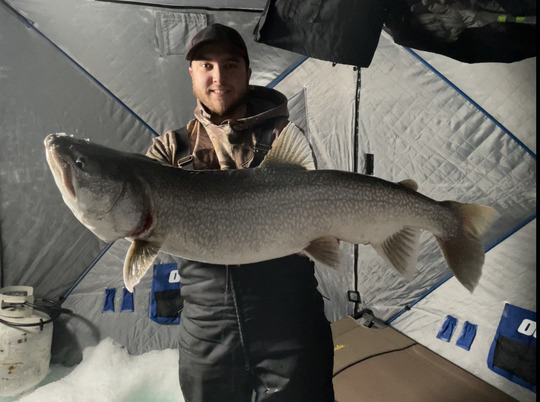 Lake Trout