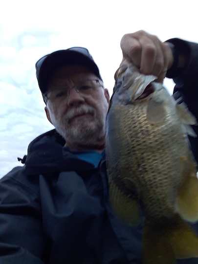 Rock Bass