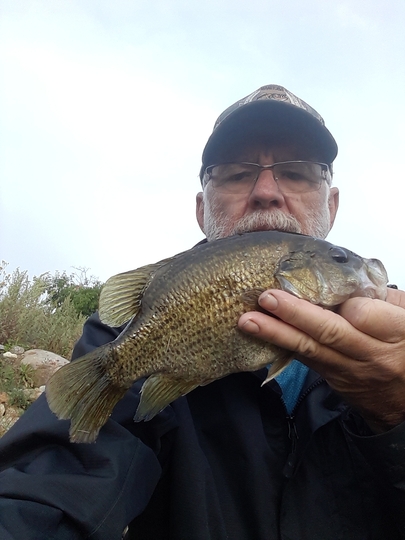 Rock Bass