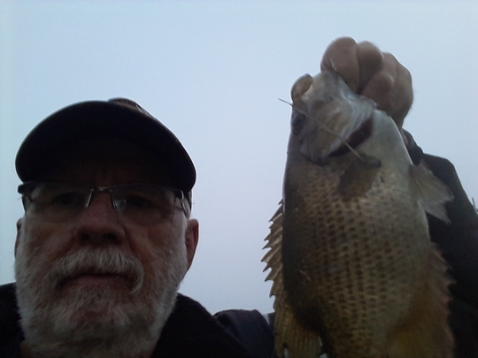 Rock Bass