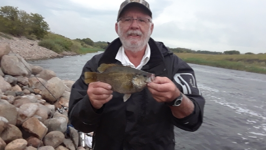 Rock Bass