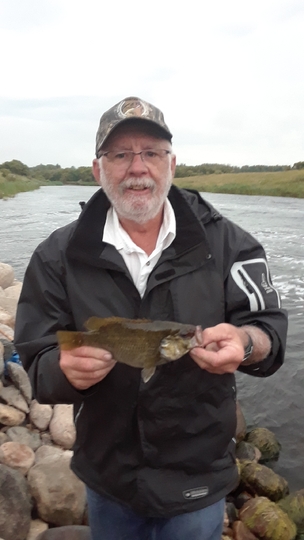 Rock Bass