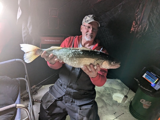 Walleye