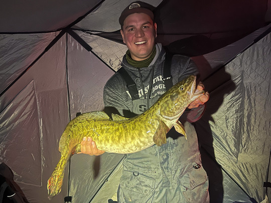 Burbot