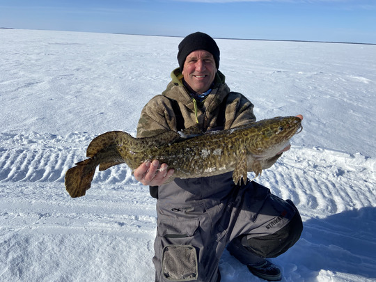 Burbot