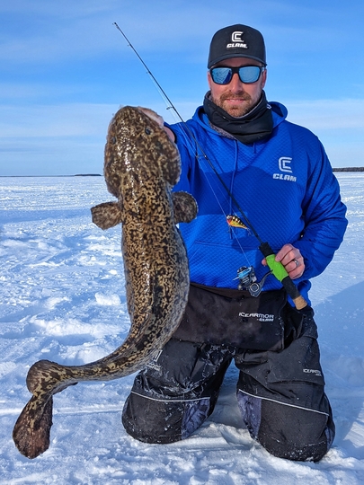 Burbot