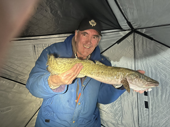 Burbot