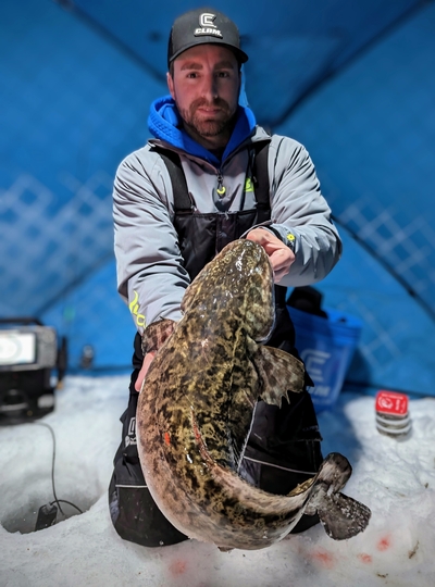 Burbot