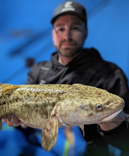 Burbot