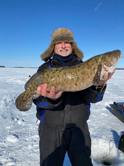Burbot
