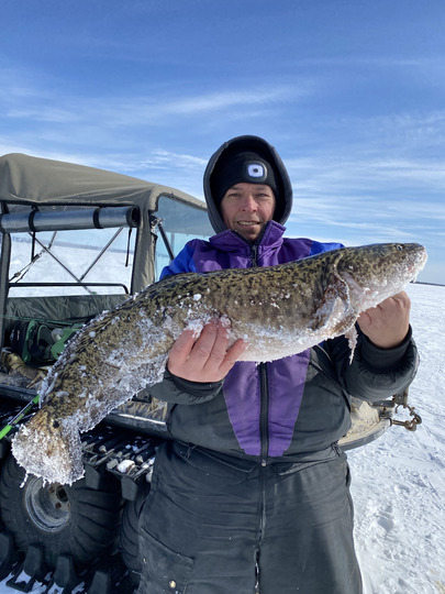 Burbot