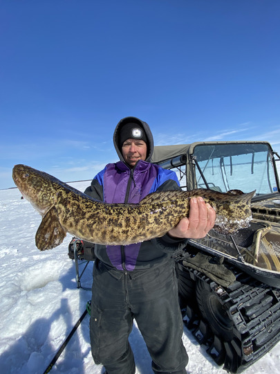 Burbot