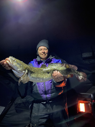Burbot