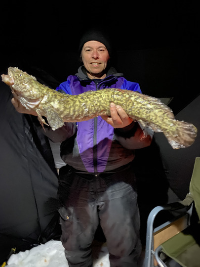 Burbot