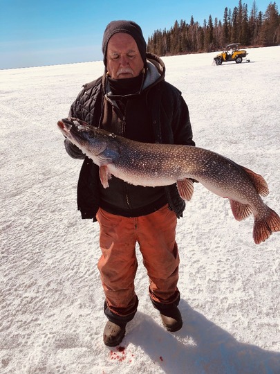 Northern Pike