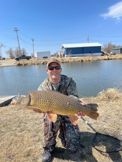 Common Carp