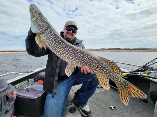 Northern Pike