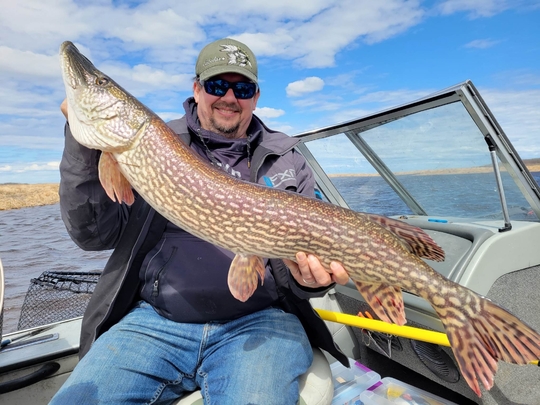 Northern Pike