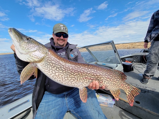 Northern Pike