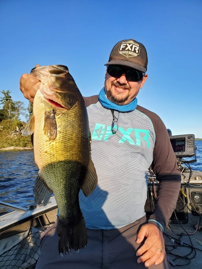 Largemouth Bass