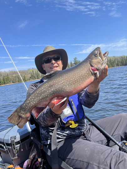 Brook Trout